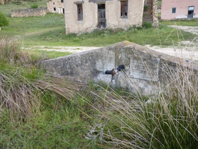 Fuente de los Oteros I - imagen 4