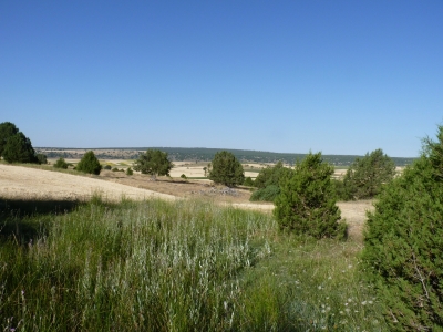 Fuente Peñuela - imagen 6