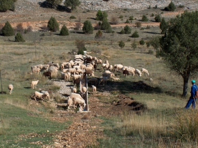 Fuente del Enebrillo - imagen 8