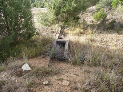 Fuente del Ribazo - imagen 1