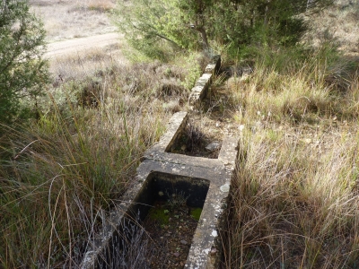 Fuente del Ribazo - imagen 2
