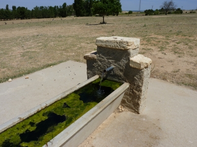 Fuente de Aguafría - imagen 7