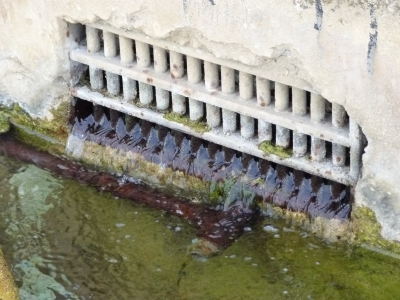 Fuente la Madalena - imagen 5
