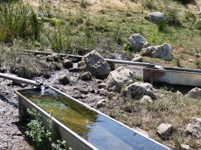 Fuente de los Olmos - imagen 3