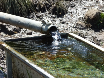 Fuente de los Olmos - imagen 4