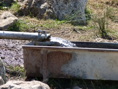 Fuente de los Olmos - imagen 5