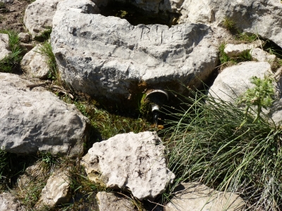 Fuente Peñuela - imagen 2