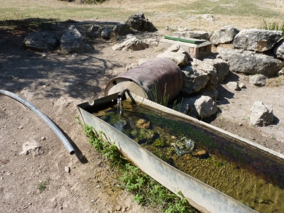 Fuente Peñuela - imagen 5