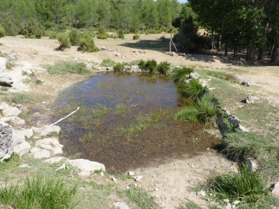 Fuente Peñuela - imagen 6