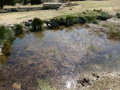 Fuente Peñuela - imagen 7