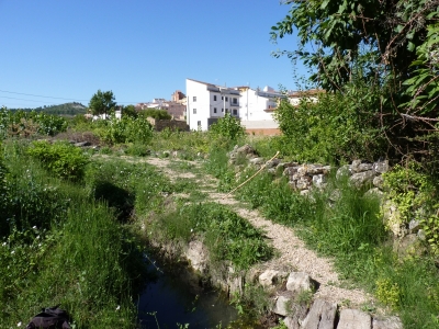 Fuente Vieja - imagen 6