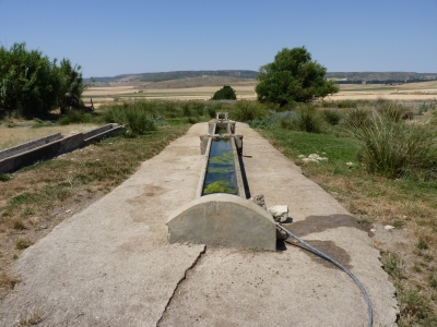 Fuente de Villar de Cañas - imagen 2
