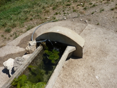 Fuente de Villar de Cañas - imagen 3