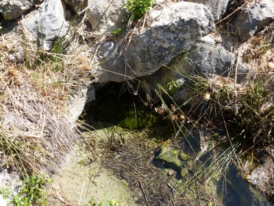Fuente del Villar - imagen 1