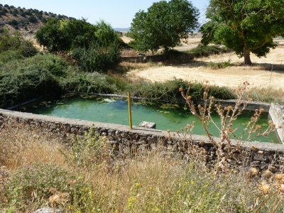 Fuente del Villar - imagen 7