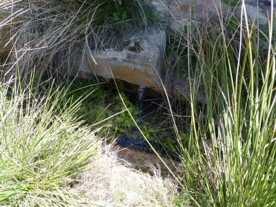 Fuente de la Cañada - imagen 1