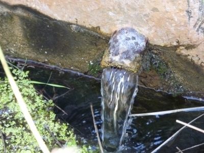 Fuente de la Cañada - imagen 2