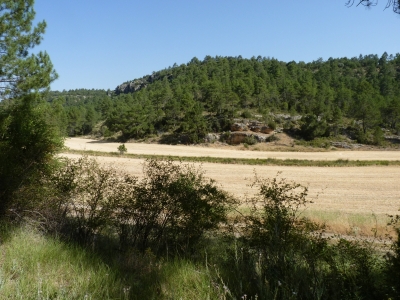 Fuente de la Casilla - imagen 8