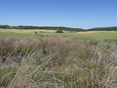El Encaño la Atalaya - imagen 1