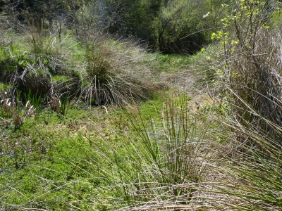 Las Fuentes del Río - imagen 2