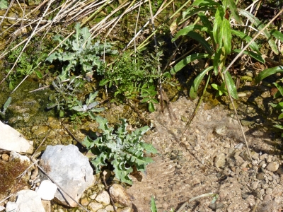 Las Fuentes del Río - imagen 4