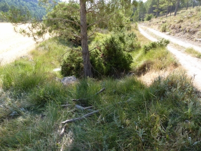 El Gorgullón de la Cañá el Cañizar - imagen 1