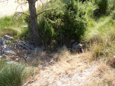 El Gorgullón de la Cañá el Cañizar - imagen 2