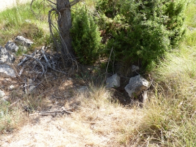 El Gorgullón de la Cañá el Cañizar - imagen 3