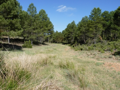 Pozo Cañaillas - imagen 8