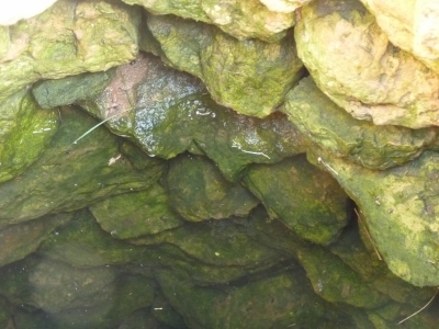 Pozo de los Quiñones - imagen 5
