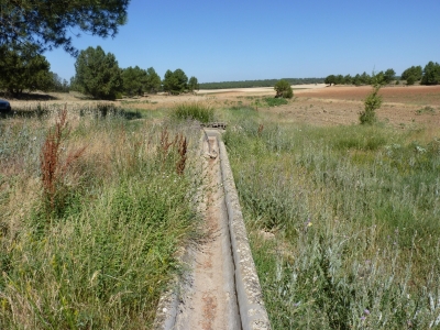 Pozo del Abanquillo - imagen 6