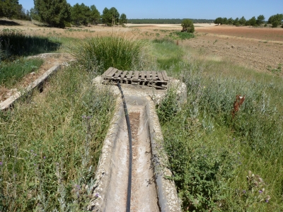 Pozo del Abanquillo - imagen 7