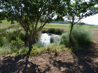Pozo del Chabarcón - imagen 1