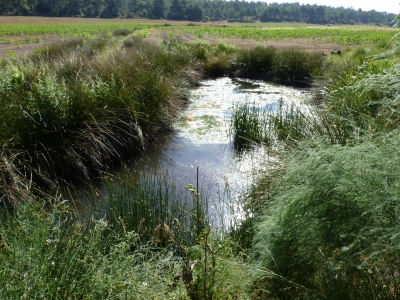 Pozo del Chabarcón - imagen 2