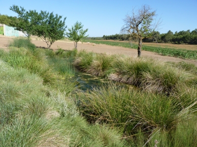 Pozo del Chabarcón - imagen 4