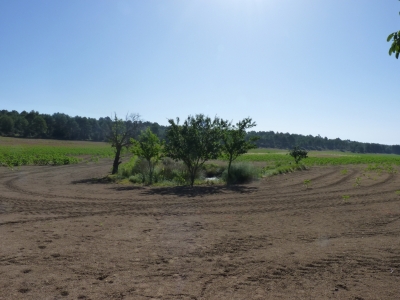Pozo del Chabarcón - imagen 5