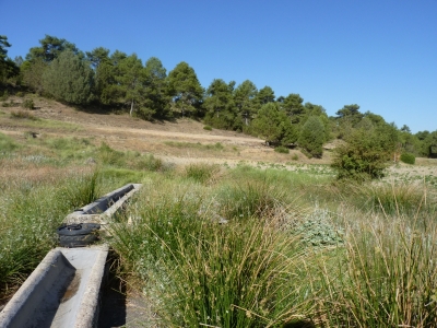 Pozo el Abanco - imagen 5
