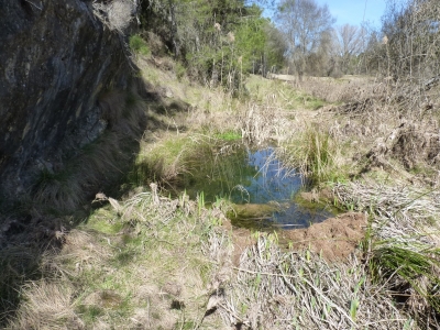 Fuente de la Rama - imagen 1