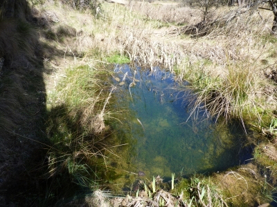 Fuente de la Rama - imagen 2