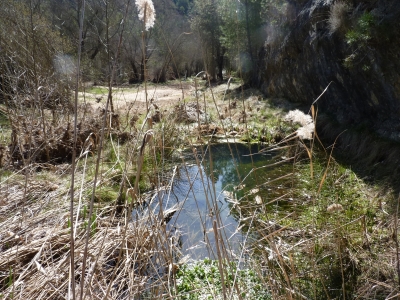 Fuente de la Rama - imagen 5