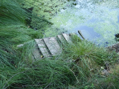Fuente del Rincón - imagen 2