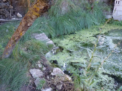 Fuente del Rincón - imagen 4