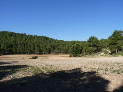 Fuente del Rincón - imagen 6