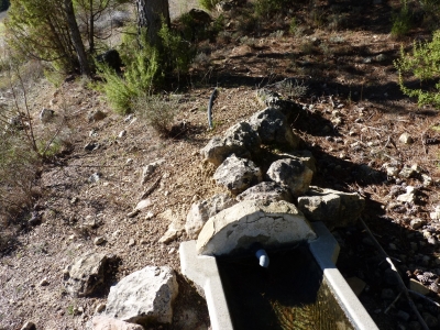 Los Hontarrones - imagen 2
