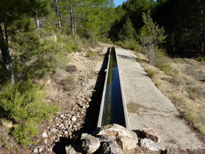 Los Hontarrones - imagen 3