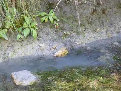 Fuente de la Zorra - imagen 2