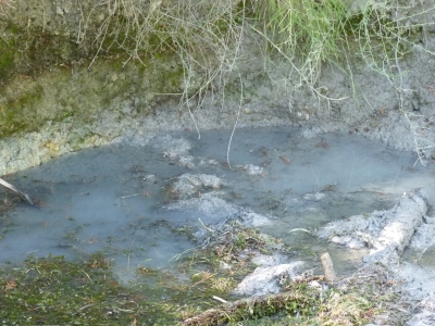 Fuente de la Zorra - imagen 3