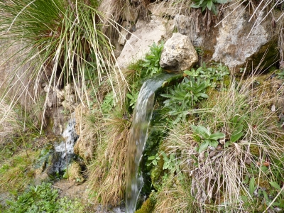 Fuente los Berros - imagen 2