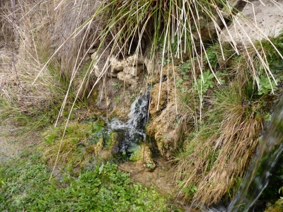 Fuente los Berros - imagen 3