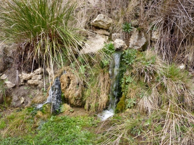 Fuente los Berros - imagen 4